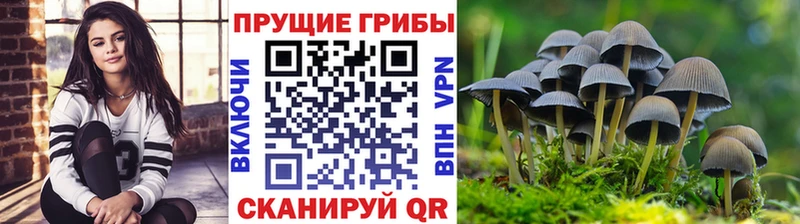 Галлюциногенные грибы Magic Shrooms  Нижние Серги 