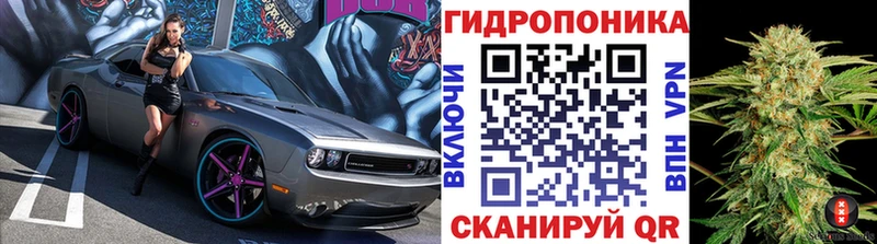 как найти закладки  Нижние Серги  blacksprut   Шишки марихуана план 